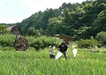 くりやまのむしとり